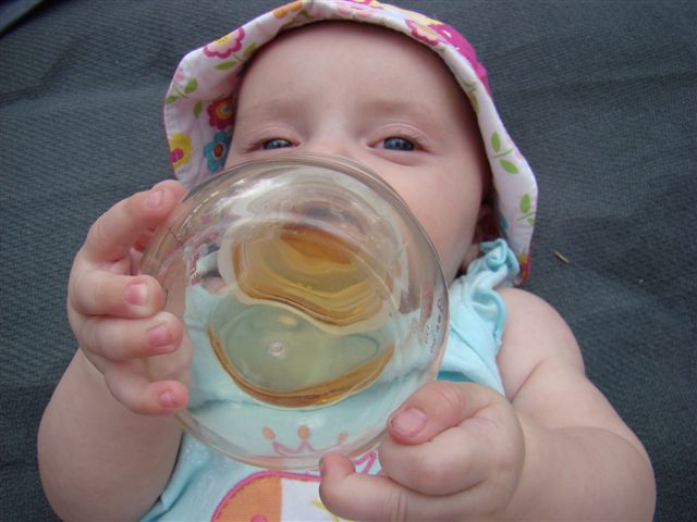 Chorvatsko 2009 063.JPG